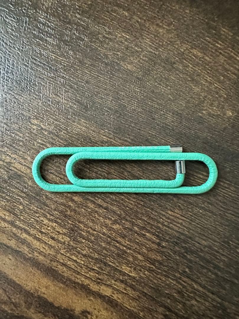 BEAMS Mint Green Money Clip